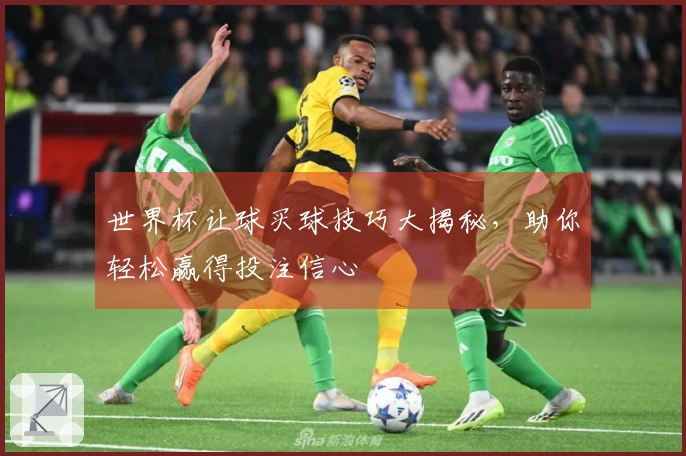 世界杯让球买球技巧大揭秘，助你轻松赢得投注信心
