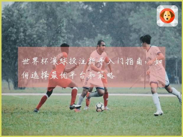 世界杯滚球投注新手入门指南，如何选择最优平台和策略