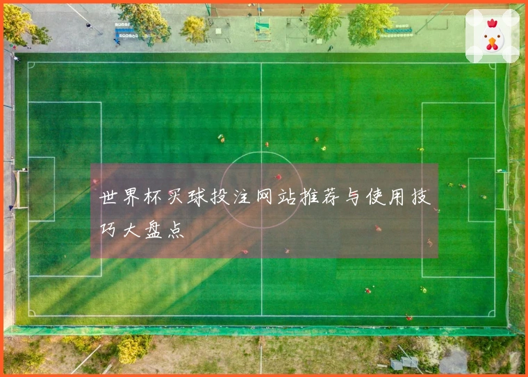 世界杯买球投注网站推荐与使用技巧大盘点